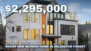 Arlington VA New Construction Modern Home with Walkout Lower Level