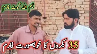 Successful goat farming business in Pakistan|| start goat farming business