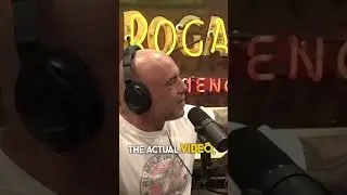 Praying Mantises Eating Lizards?! | Joe Rogan x Katee Sackhoff