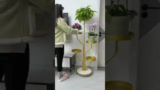 Indoor Flower Placement Design Home is good #gadgets #smartgadgets #shorts