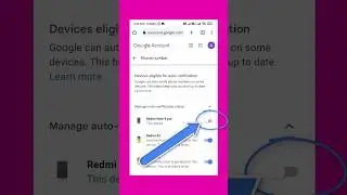 how to Turn on Auto Verification on google account - Manage  auto verification status