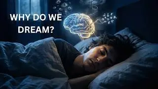 Why Dreams Feel So Real (Science Explains)