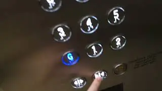Unsurprising mod: 4 Otis mod. Kone Traction elevators at Dymocks Building, Sydney, NSW