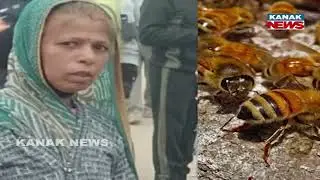 Anganwadi Worker Sacrifices Life To Save 20 Children From Honeybee Attack in Madhya Pradesh
