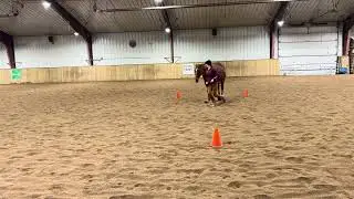 Zoe and Exotic Liberty Horse Novice Pattern 1