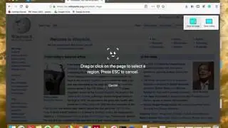 How to Take Screenshot of Firefox Window or web page