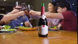 Celebrate Little Moments Together