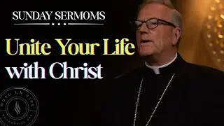 Unite Your Life with Christ&rsquo;s Sacrifice - Bishop Barron&rsquo;s Sunday Sermon