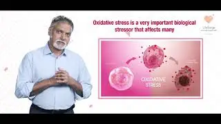02 How does Melatonin help in Infertility
