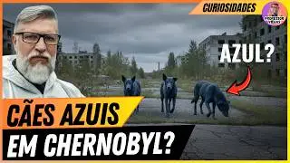 CHERNOBYL: A Verdade Chocante Sobre os C&atilde;es com Pelagem Azul!