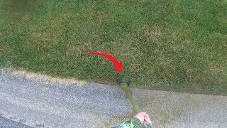 I Restored This Lawn Step by Step | Most Satisfying Lawn Mowing Transformation