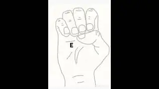 ASL sign language alphabet letter 