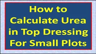 How to Calculate Urea in Top Dressing For Small Plots