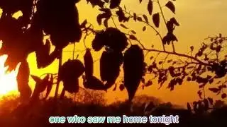 Superdivorce - A Bullrider