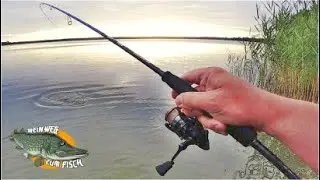 Barschangeln im See vom Ufer Teil 2 - die richtige Angelausr&uuml;stung zum Barschangeln im Sommer