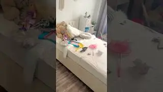 Cleaning Up a Cozy Kids Room &ndash; Before & After! #cleantok #roomtransformation #satisfyingclean #clean