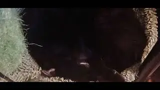Tired Void