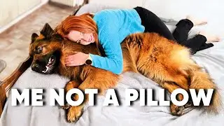 Hugging My Dog For Too Long