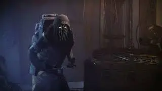 Destiny 2 Call to Arms Get to Xur for Adept Vorpal Weapon Wildstyle