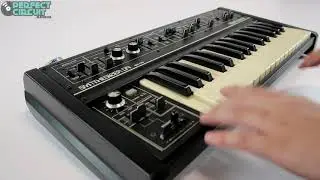 Roland SH-09 Analog Synthesizer Demo