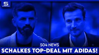 So viel Macht hat Muslic! Millionen-Deal mit Adidas! Fehlen 11 Spieler? Ayhan gesetzt? | S04 NEWS