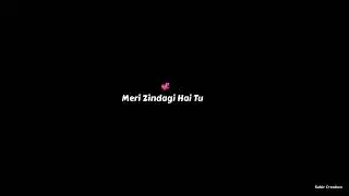Meri Zindagi Hai Tu | Ost | Asim Azhar | Sabri Sisters | Love Song | Black Screen Lyrics Status