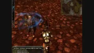 Darkfall Beta