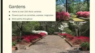 Alfred B. Maclay Gardens State Park by lisa rueger