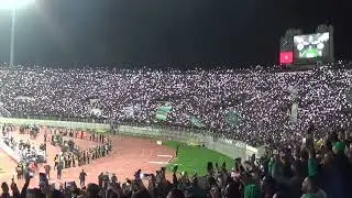 Raja Casablanca Supporters  lors du match contre Entente sportive sétifienne : KOLSHI M'SIGNER