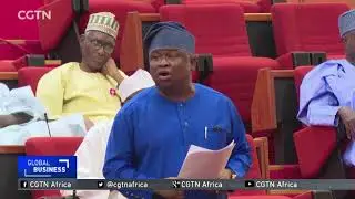 Nigeria's Senate Budget committee uncovers duplications, inaccuracies