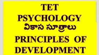 TET-Psychology-Principles of Development - One Question