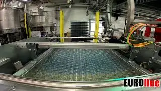 EUROline GmbH: Automatische Depalettieranlage Delus 650