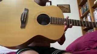 Mini jumbo seagull godin