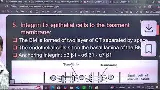 Cell Junction & Cell Adhesion Molecules