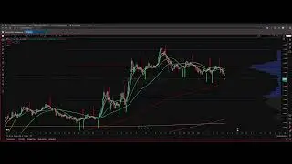 FEG Token + SmartDeFi&trade; Live Stream