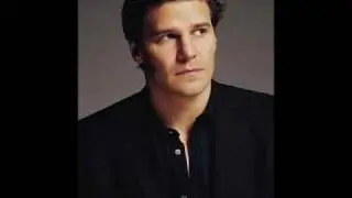 David Boreanaz  the best.