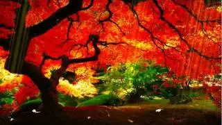 Planet Garden Animated Wallpaper  
