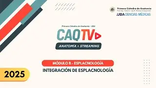 CAQ TV 2025 - Integraci&oacute;n de esplacnolog&iacute;a