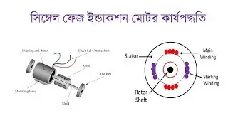 Single Phase Induction Motor Working Principle in bangla | সিঙ্গেল ফেজ ইন্ডাকশন মোটর কার্যপদ্ধতি