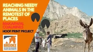 Reaching needy animals in the remotest of places : Makarwal Coalmines : Hoofprint Project #Brooke