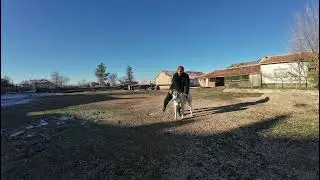 Köpek masajı 😅