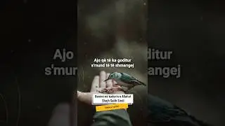 Besimi n&euml; kaderin e Allahut - Shejh Salih Sindi