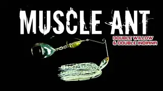NEW Muscle Ant! The Muscle Finesse Spinnerbait