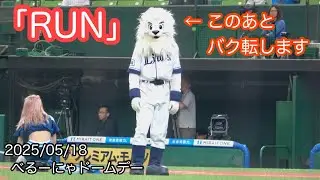 「RUN」【オープニングパフォーマンス】2025/05/18 西武🆚オリックス