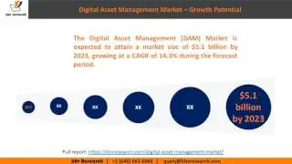 Digital Asset Management Market | Market Growth 2017-2023