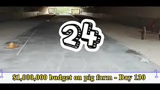 【S1E24】Spending $ 1 million to build a fattening pig farm in China.