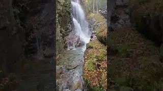 Fall Foliage, The Flume Gorge (8) #shorts
