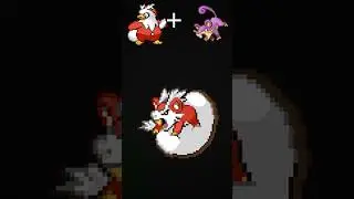 Delibird Rattata POKEMON FUSION looks GREAT