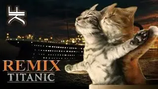 Cats Singing Song | Titanic - My Heart Will Go On