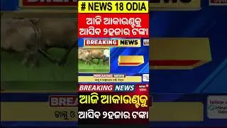 ଆଜି ମିଳିବ ଟଙ୍କା | CM Kisan Yojana update | CM Mohan Majhi | Farmer Scheme | Odia News